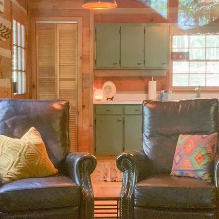 Villa Hot Tub, Porch Swing Bed, Fire Pit, Aska Adventure Blue Ridge Esterno foto