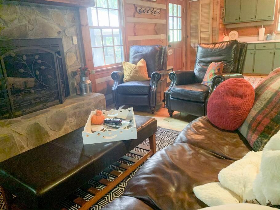 Villa Hot Tub, Porch Swing Bed, Fire Pit, Aska Adventure Blue Ridge Esterno foto