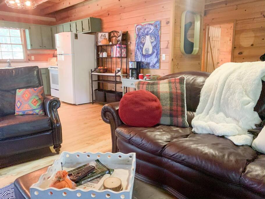 Villa Hot Tub, Porch Swing Bed, Fire Pit, Aska Adventure Blue Ridge Esterno foto