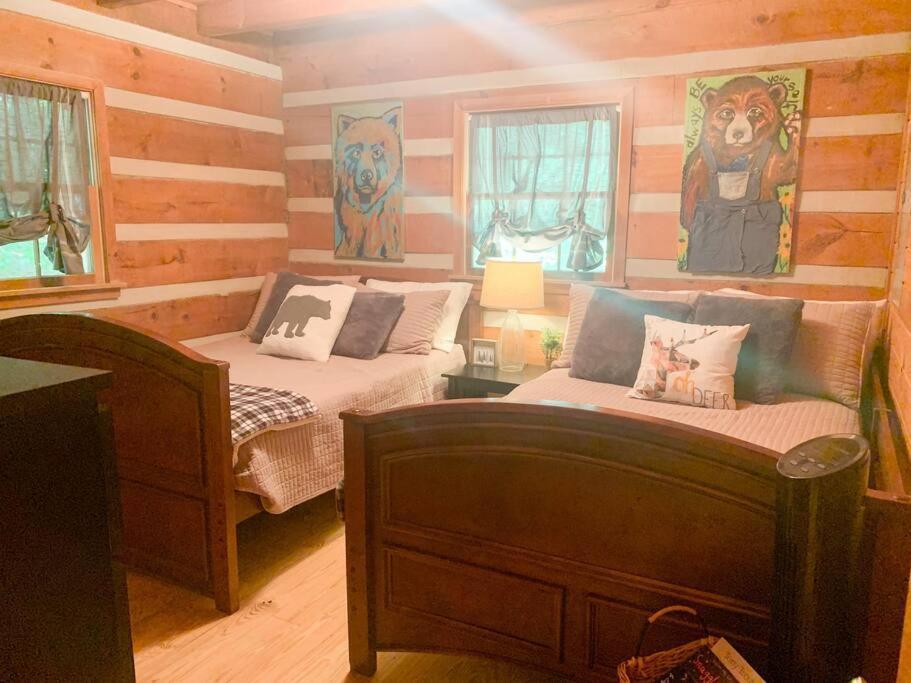 Villa Hot Tub, Porch Swing Bed, Fire Pit, Aska Adventure Blue Ridge Esterno foto
