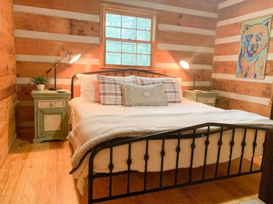 Villa Hot Tub, Porch Swing Bed, Fire Pit, Aska Adventure Blue Ridge Esterno foto