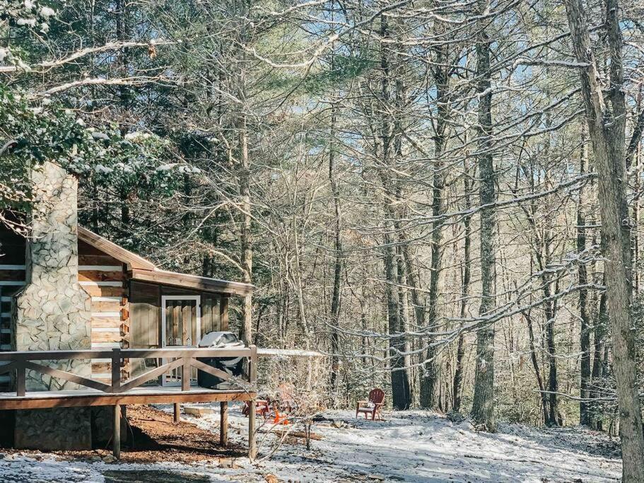 Villa Hot Tub, Porch Swing Bed, Fire Pit, Aska Adventure Blue Ridge Esterno foto